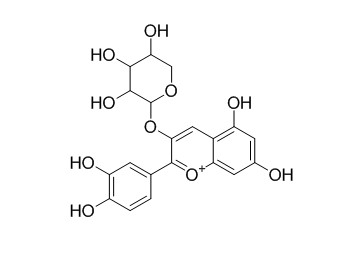矢车菊素 3-阿拉伯糖苷 HPLC>98% 中药标准品 对照品