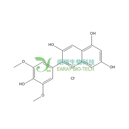 氯化锦葵色素 HPLC>98% 中药标准品 对照品