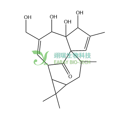 巨大戟醇 HPLC≥98% 中药对照品 标准品 CAS：30220-46-3