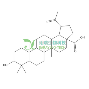 3- 表白樺脂酸 98% 38736-77-5 中藥標準品 對照品
